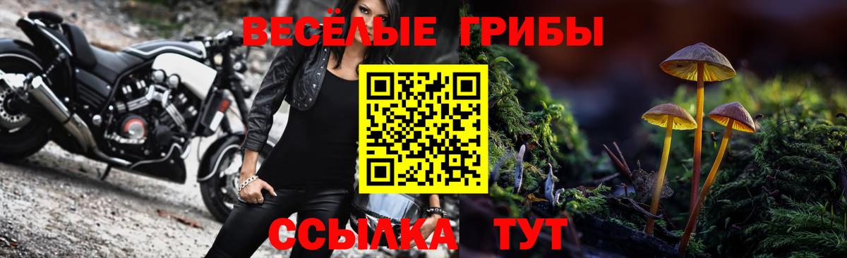 Псилоцибиновые грибы GOLDEN TEACHER  Вход с VPN  Псилоцибиновые грибы MAGIC MUSHROOMS  Омск 