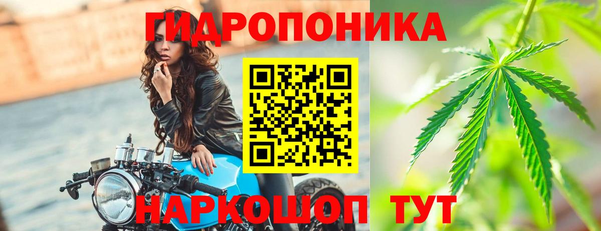 Бошки Шишки THC 21%  Канабис ГИДРОПОН  МАРИХУАНА Ganja  Омск  Вход с VPN  МАРИХУАНА THC 21% 
